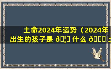 土命2024年运势（2024年出生的孩子是 🦋 什么 🐟 土命）